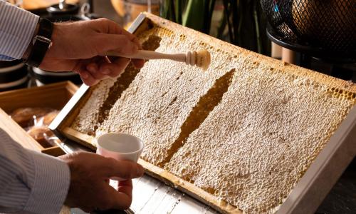 Hôtel Saint-Delis - photo 2